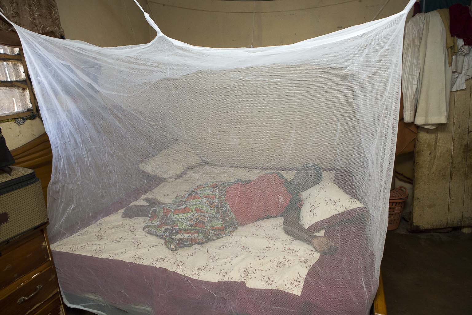 Malaria control Households receive over eight million nets in Kano